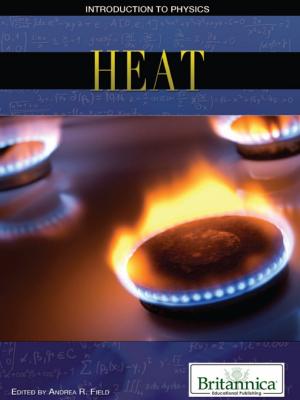 Cover of the book Heat by Simone Payment