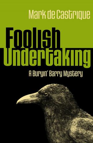 Cover of the book Foolish Undertaking by Patrick Brigham
