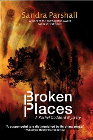 Cover of the book Broken Places by Glynis McCants