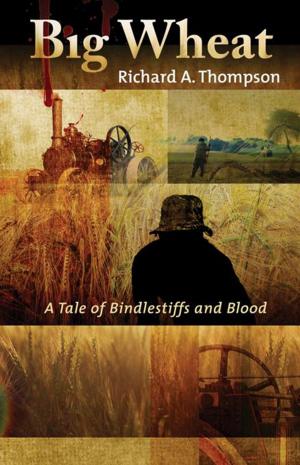 Cover of the book Big Wheat by Ali McNamara