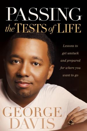 Cover of the book Passing the Tests of Life by Greg Mitchell