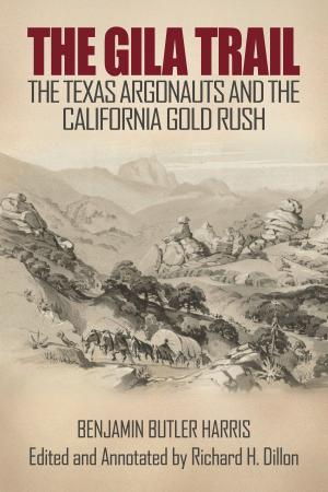 Book cover of The Gila Trail