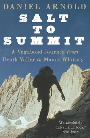 Cover of the book Salt to Summit by Ayesha Mattu, Nura Maznavi