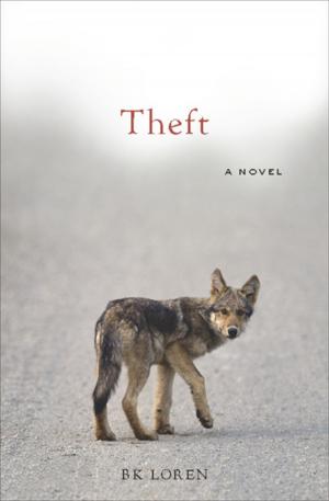 Cover of the book Theft by Scott Carrier