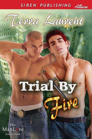 Cover of the book Trial by Fire by Conny van Lichte