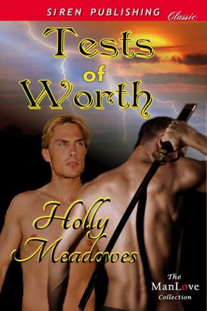 Cover of the book Tests of Worth by Kaylee Feagans