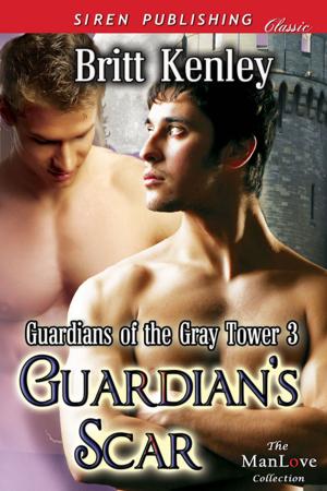 Cover of the book Guardian's Scar by Melody Snow Monroe