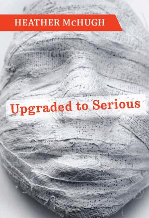 Cover of the book Upgraded to Serious by J J Ginty