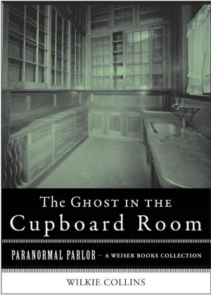 Book cover of The Ghost in the Cupboard Room