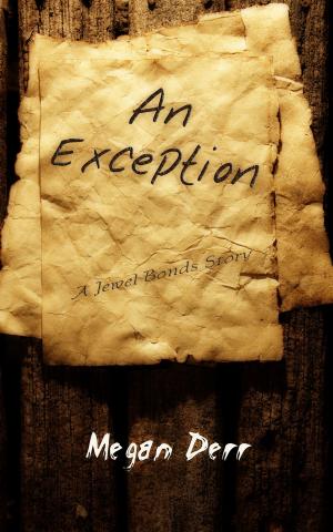 bigCover of the book An Exception by 