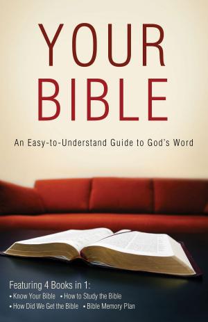 Cover of the book Your Bible: An Easy-to-Understand Guide to God's Word by Rachel Quillin