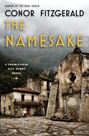 Cover of the book The Namesake by Joshua Glenn, Elizabeth Foy Larsen