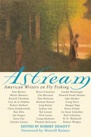 Cover of the book Astream by Dermot McEvoy