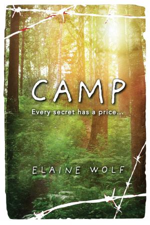 Cover of the book Camp by J. B. O'Neil