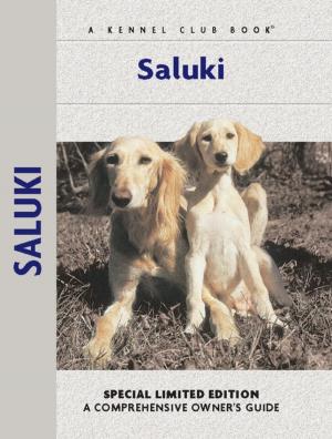 Cover of the book Saluki by Nona Kilgore Bauer