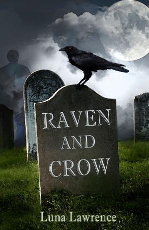Cover of the book Raven and Crow by P.L. Ripley