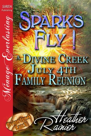 Cover of the book Sparks Fly! A Divine Creek July 4th Family Reunion by Cara Addison