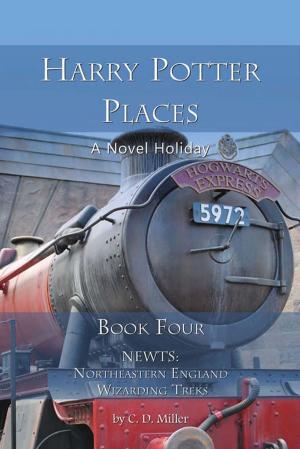 Cover of the book Harry Potter Places Book Four--NEWTs: Northeastern England Wizarding Treks by Kevin Barron