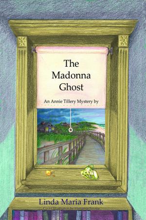 Cover of the book The Madonna Ghost by Axel de Vos