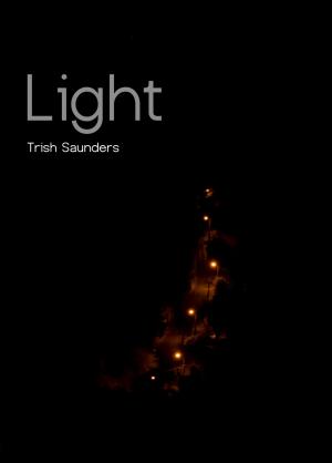 Cover of the book Light by Terry Ho