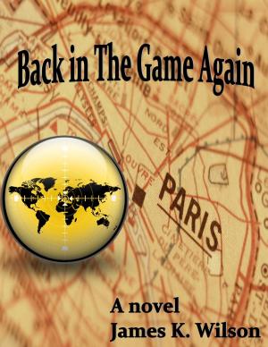 Cover of the book Back in the Game Again by Illion Maybe