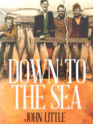 Cover of the book Down to the Sea by Richard McCourt, Dominic Wood
