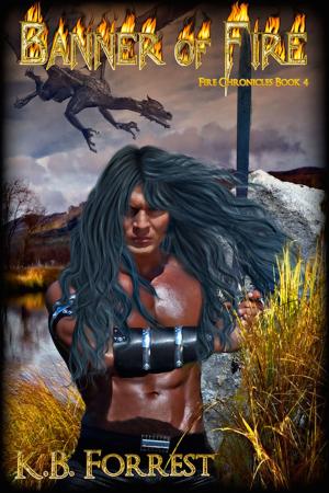Cover of the book Banner of Fire by Linda Guyan