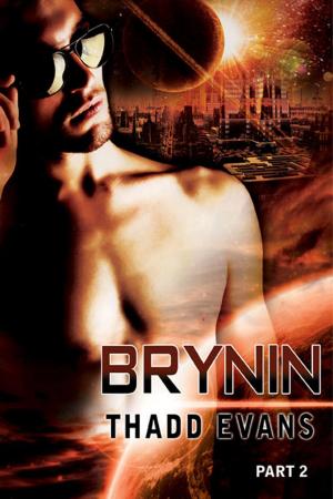 Cover of the book Brynin 2 by D. W. Adler