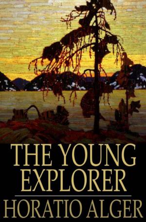 Cover of the book The Young Explorer by Daniel Defoe