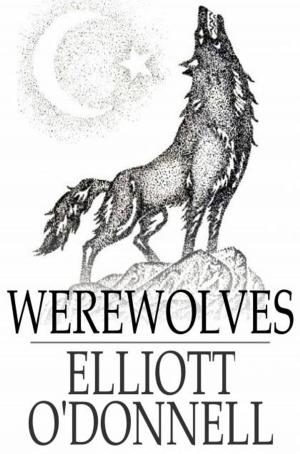 bigCover of the book Werewolves by 