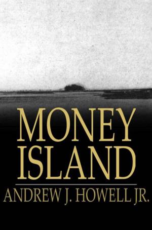 Cover of the book Money Island by John Webster