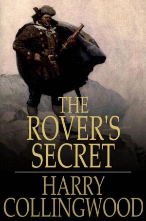 Cover of the book The Rover's Secret by James Branch Cabell, Willson Follett
