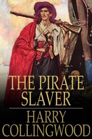 Cover of the book The Pirate Slaver by Mary F. Waterbury