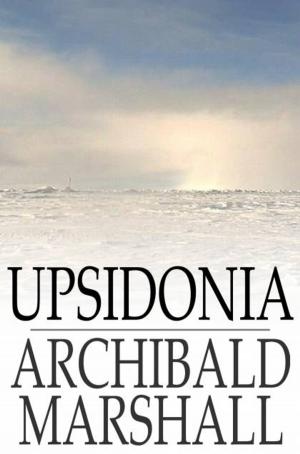 Cover of the book Upsidonia by Murray Leinster
