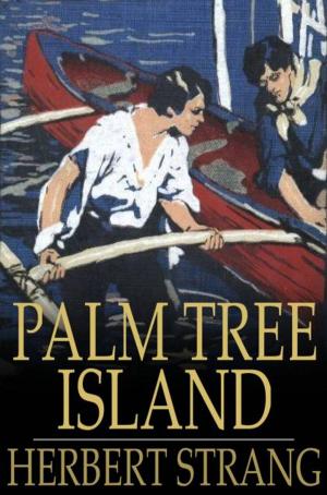 Cover of the book Palm Tree Island by James Fenimore Cooper