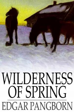 Book cover of Wilderness of Spring