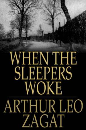Cover of the book When the Sleepers Woke by W. Somerset Maugham