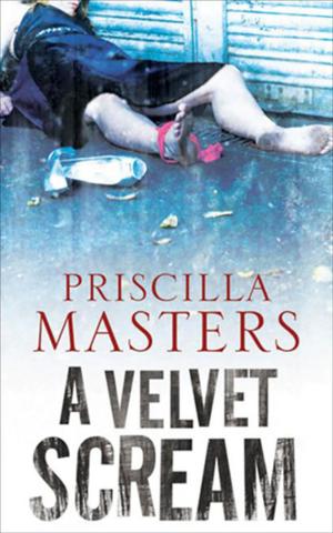 bigCover of the book A Velvet Scream by 