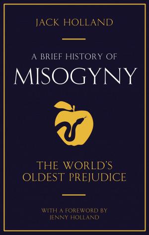Cover of the book A Brief History of Misogyny by Selmoore Codfish