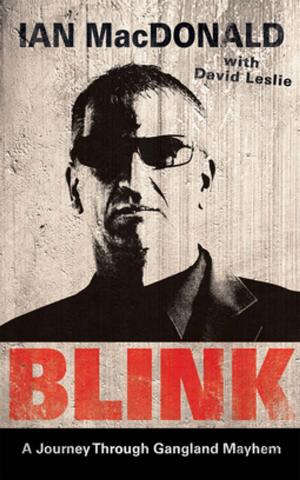 Cover of the book Blink by Jan de Vries