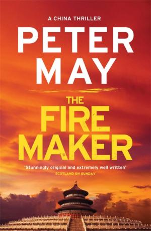 Cover of the book The Firemaker by Lyuba Vinogradova