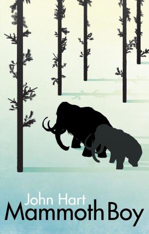 Book cover of Mammoth Boy: A lad's epic journey to find mammoths in the Ice Age