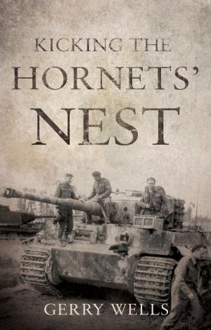 Cover of the book Kicking the Hornets' Nest by Jane Cable