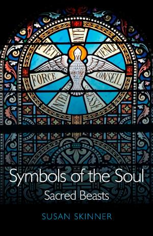 Cover of the book Symbols of the Soul by Brian Mountford