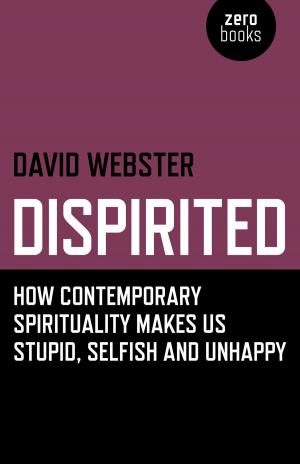 Cover of the book Dispirited: How Contemporary Spirituality Makes Us Stupid, Selfish and Unhappy by Amanda Wasielewski