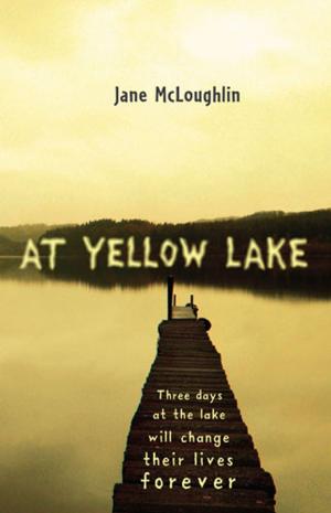 Cover of the book At Yellow Lake by Isabel Sanchez Vegara