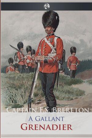 Cover of the book A Gallant Grenadier by Jack Goldstein