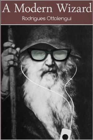 Cover of the book A Modern Wizard by John Funke