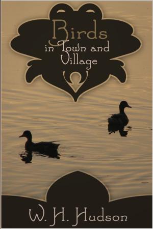 Cover of the book Birds in Town and Village by Andy Groom