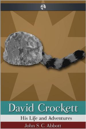 Cover of the book David Crockett by Nigel Peace